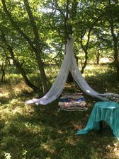 კოჯორი_3